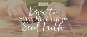 day19-seedfaith-advent2016