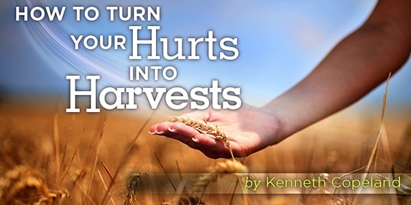 How to Turn Your Hurts Into Harvests