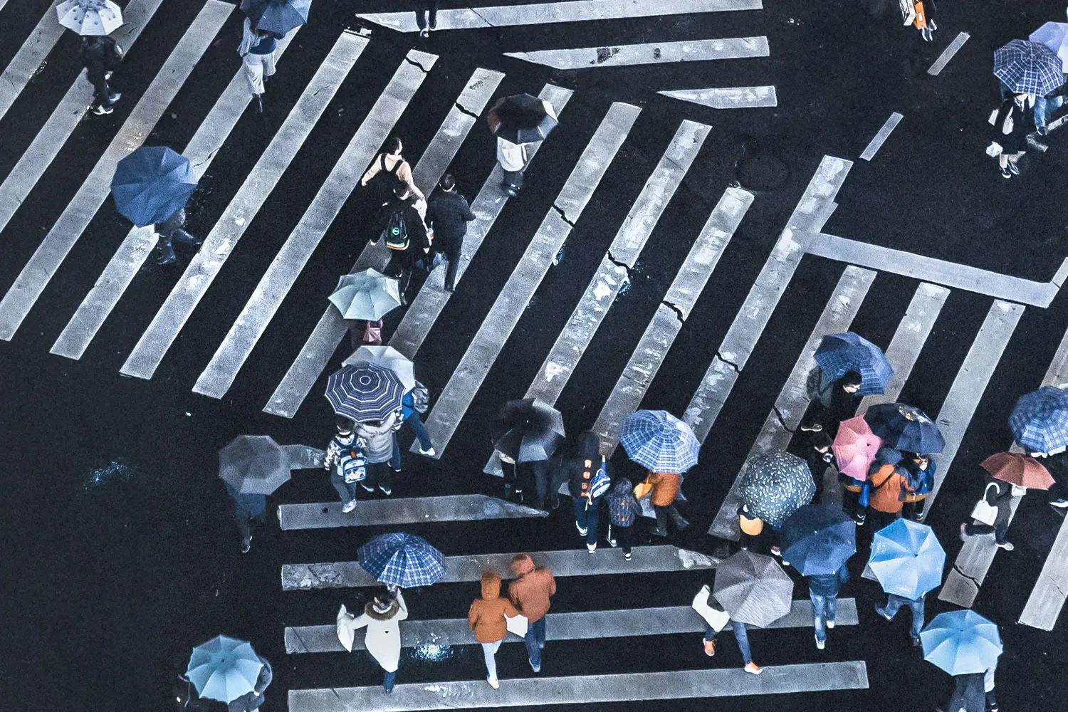 people walking across the crosswalk with umbrellas