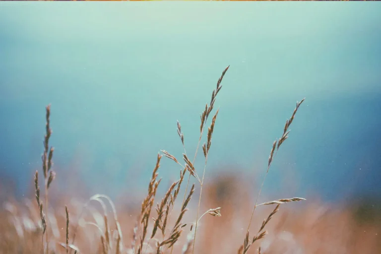 Be an Overcomer! The Key To Fulfilling Your Heavenly Ministry