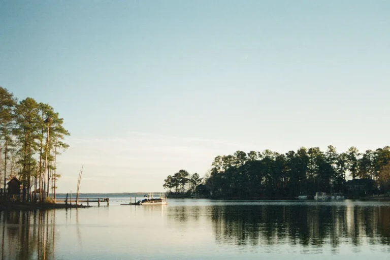 KCM Partners Bless South Carolina