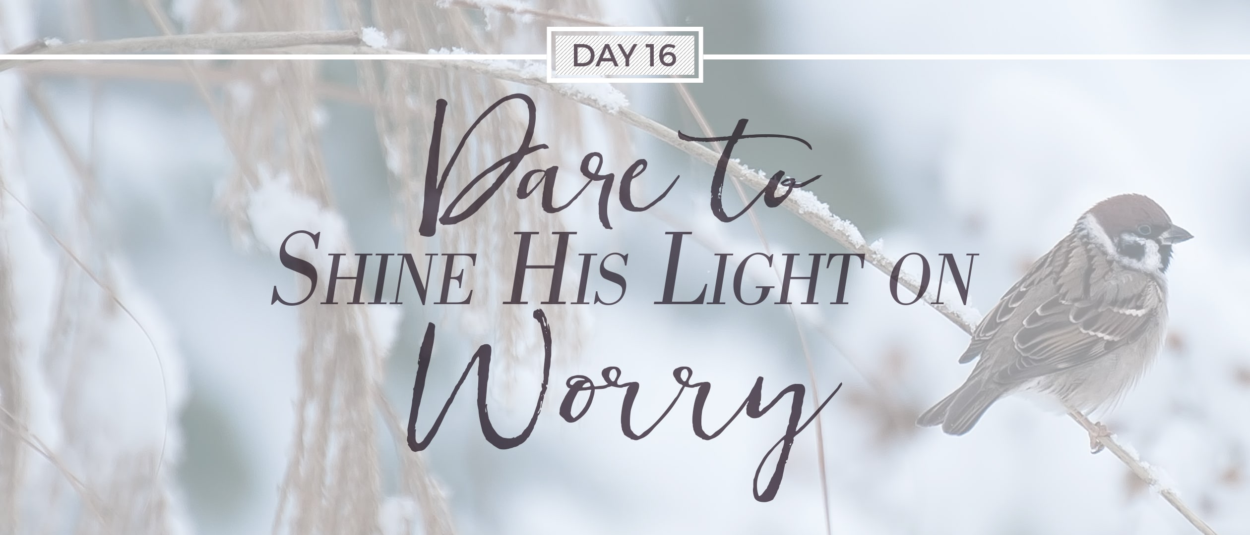 SHINE HIS LIGHT ON Worry - KCM Blog