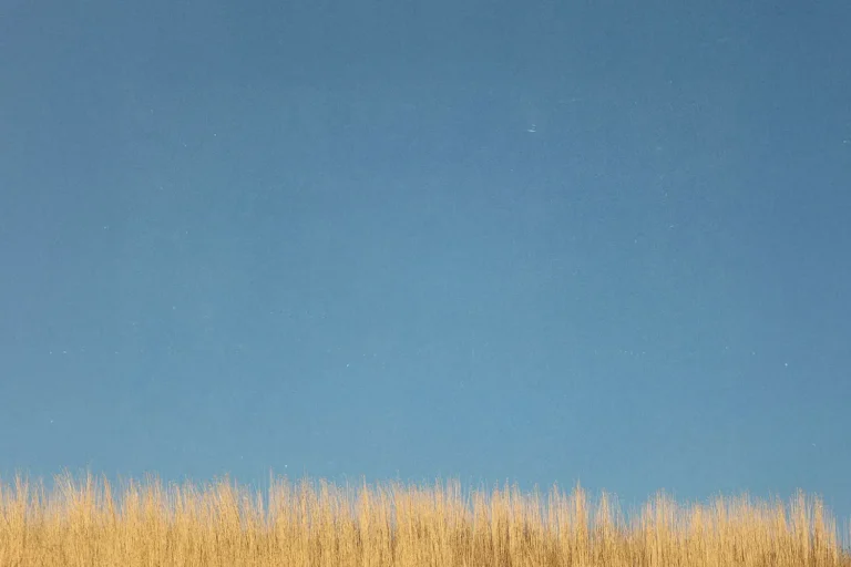 5 Truths About Biblical Prosperity