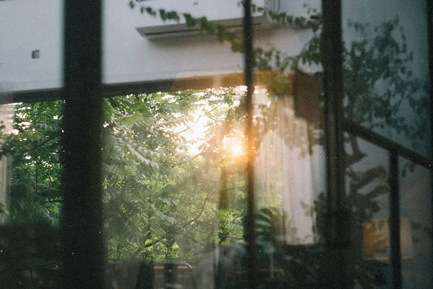 sun shining through an open door and window