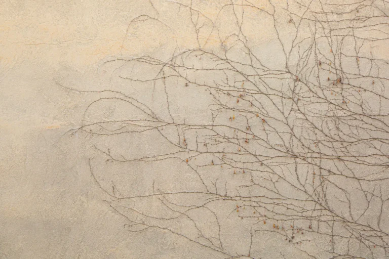 Ministry Minute: How to Make Faith Your Automatic Response