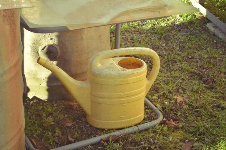 7 Steps to Calling in Your Harvest