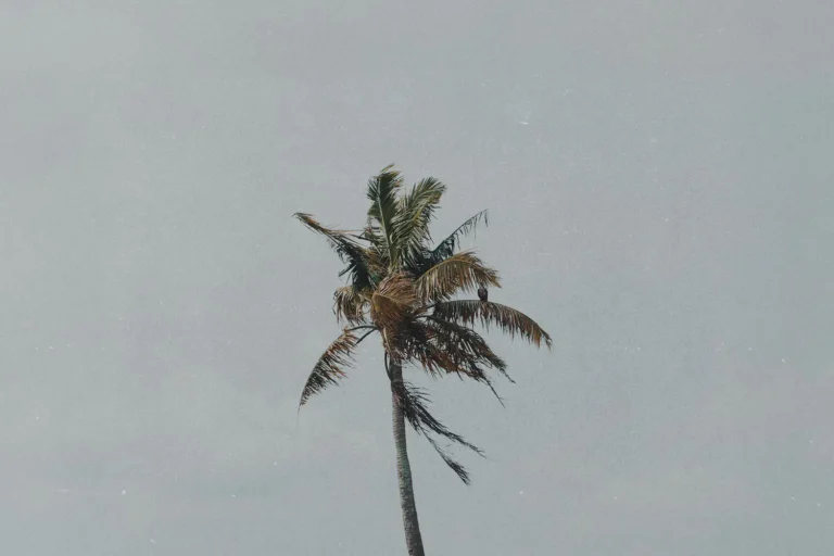 Faith In the Face of the Storm: Irma