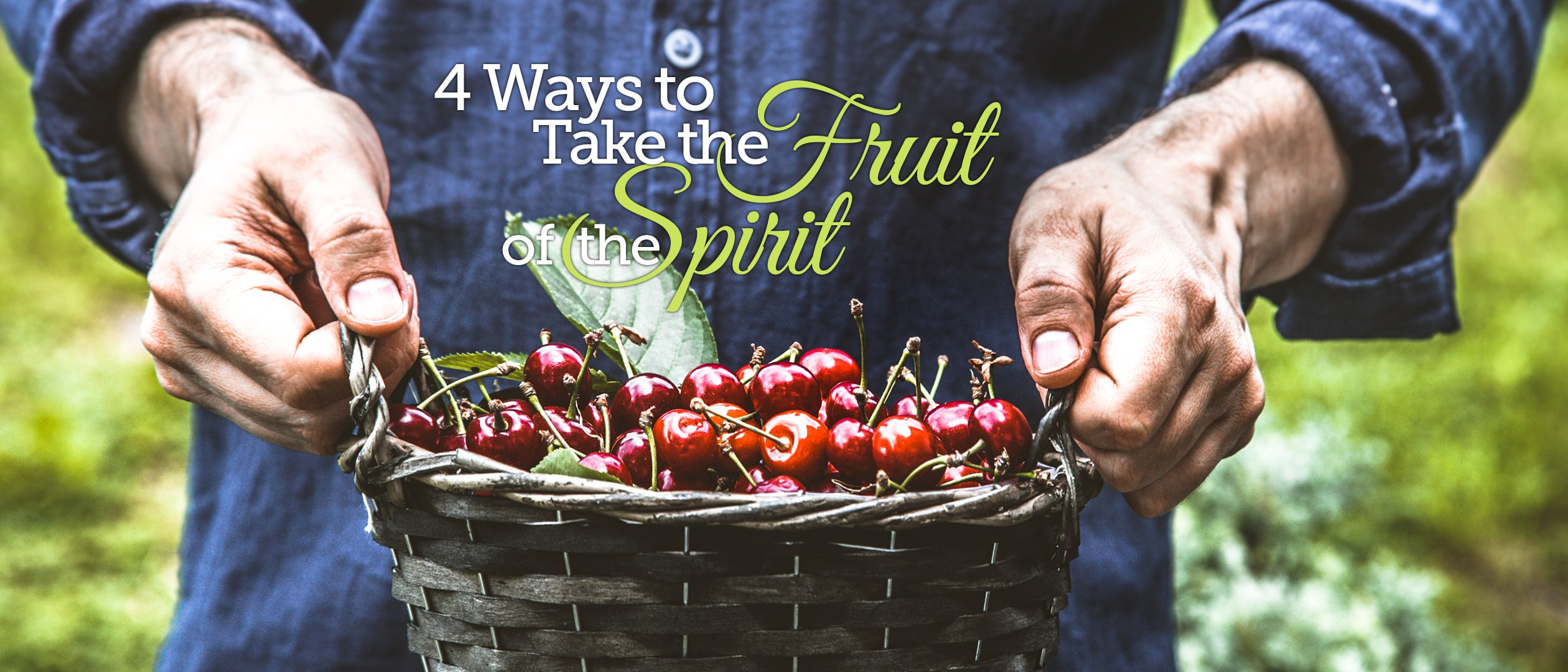 4 Ways to Take the Fruit of the Spirit