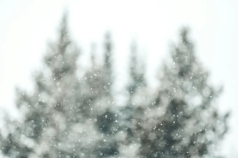 10 Ways to Be Filled With the Hope of Christmas