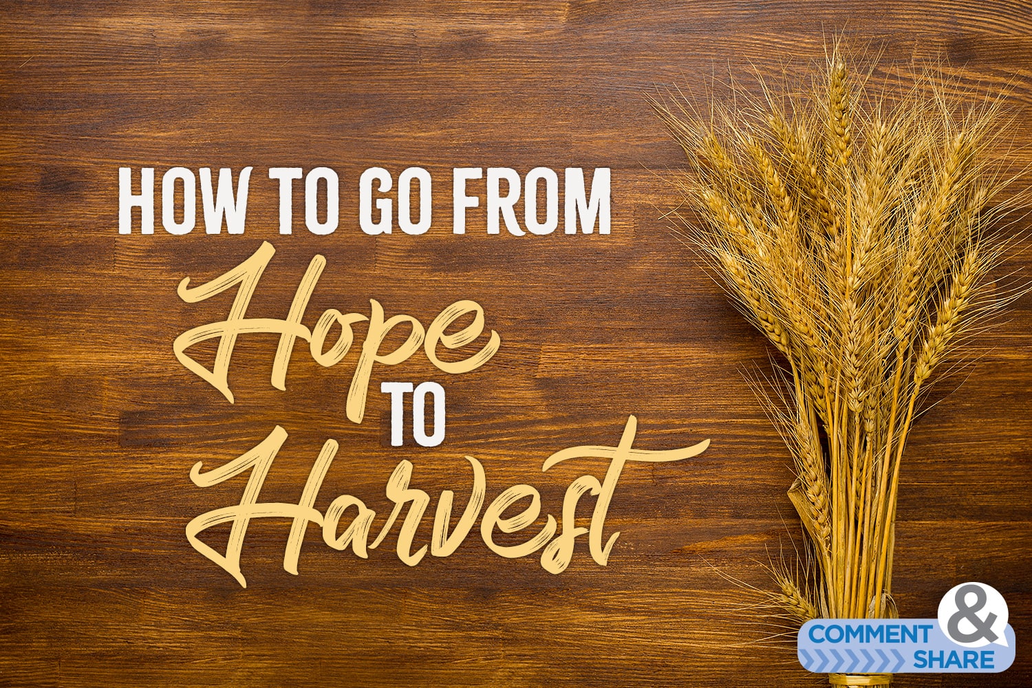 How to Go From Hope to Harvest
