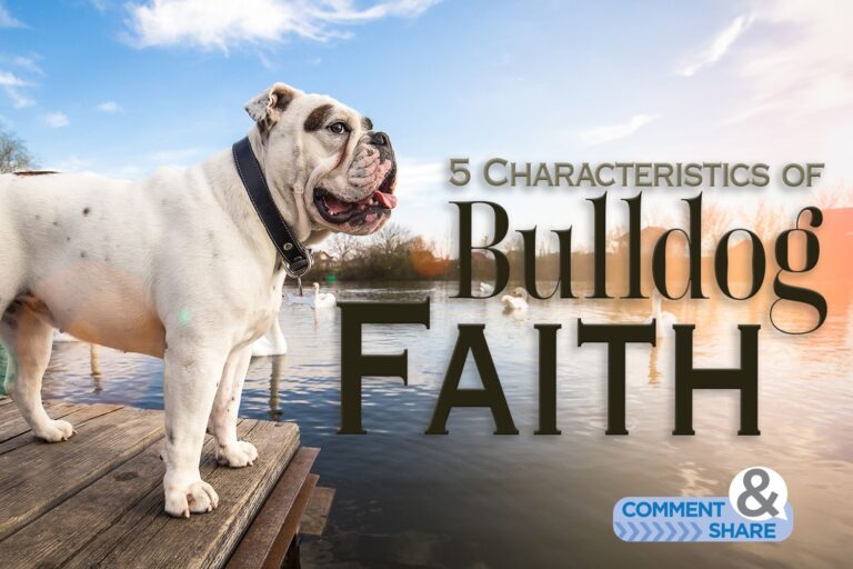 5 Characteristics of Bulldog Faith
