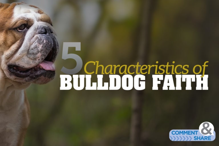 5 Characteristics of Bulldog Faith