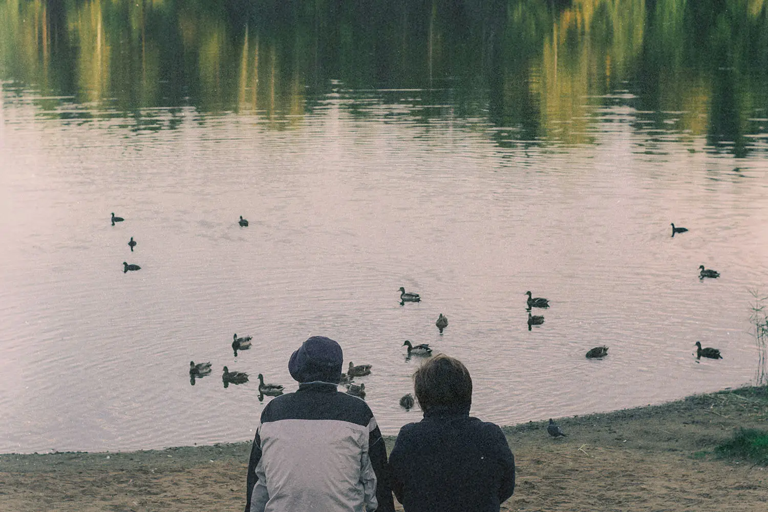 two people sitting at edge of pond watching ducks