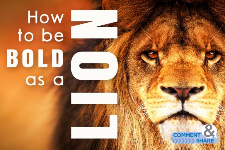 How to Be Bold as a Lion
