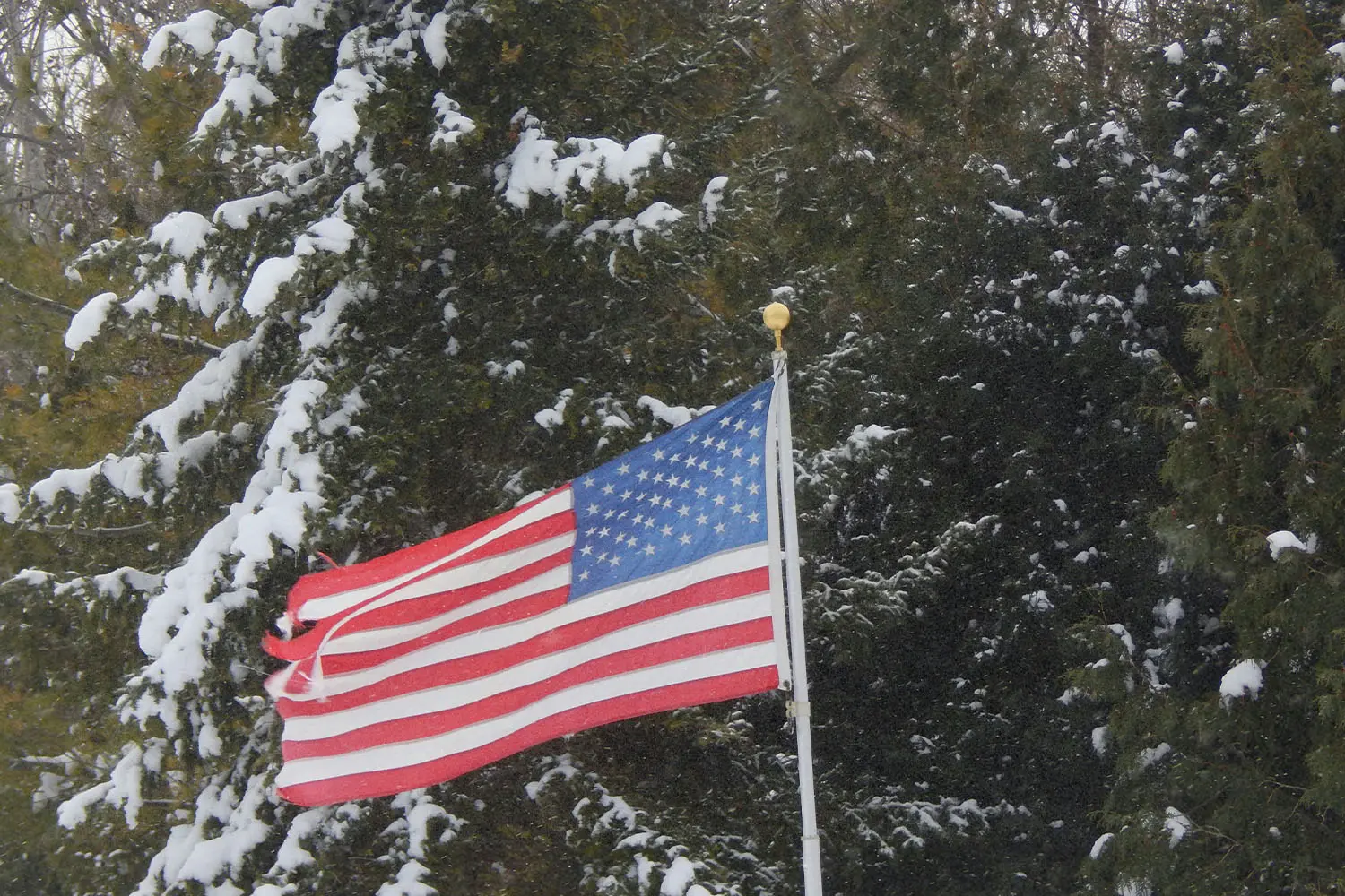 American flag flying with snowy pine trees in the background