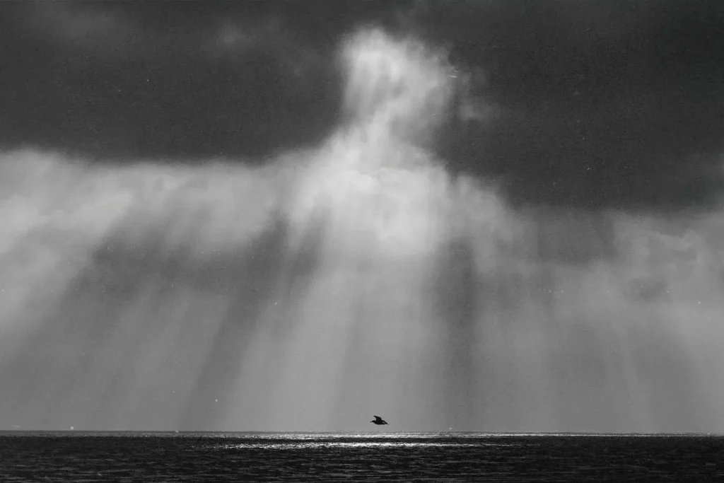 Light shining through clouds on a single bird flying over ocean