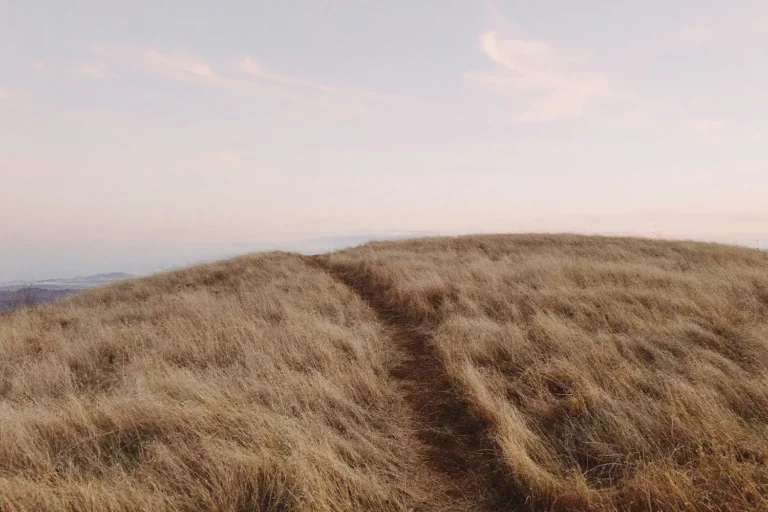 Don’t Quit on God’s Plan on Your Life – Ministry Minute