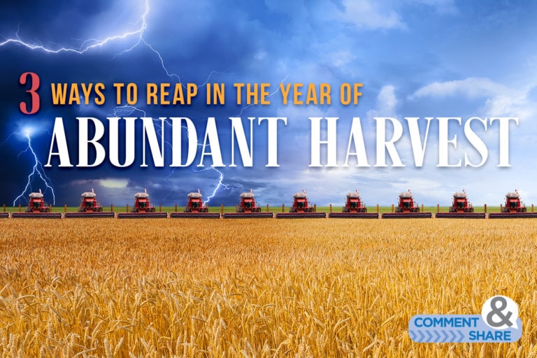 3 Ways to Reap in the Year of Abundant Harvest