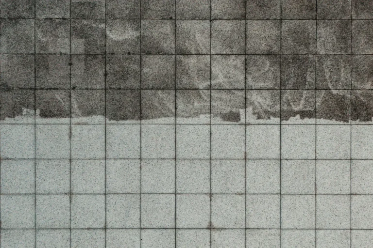 The Covenant vs. the Contradiction: Which Side Are You On?