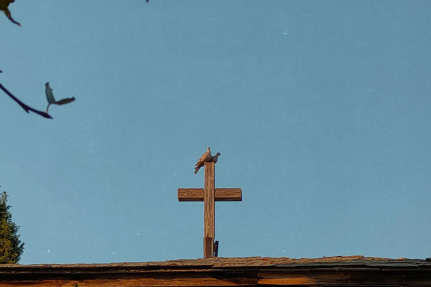 Quail sitting on top of a wooden cross
