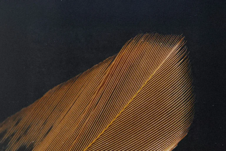 5 Eye-Opening Reasons To Never Compromise