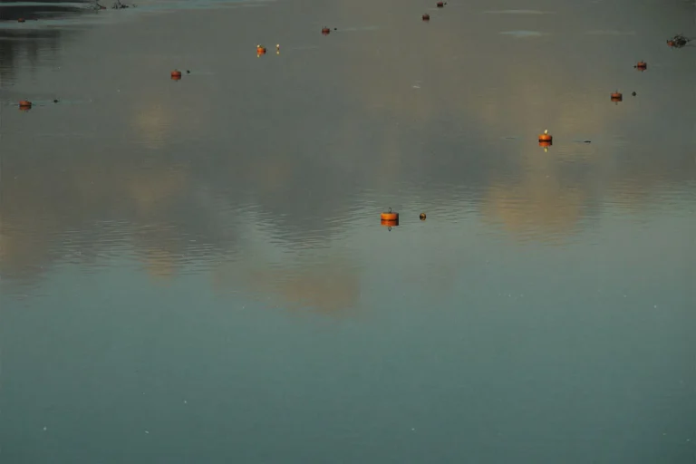 8 Times You Should Stay Silent