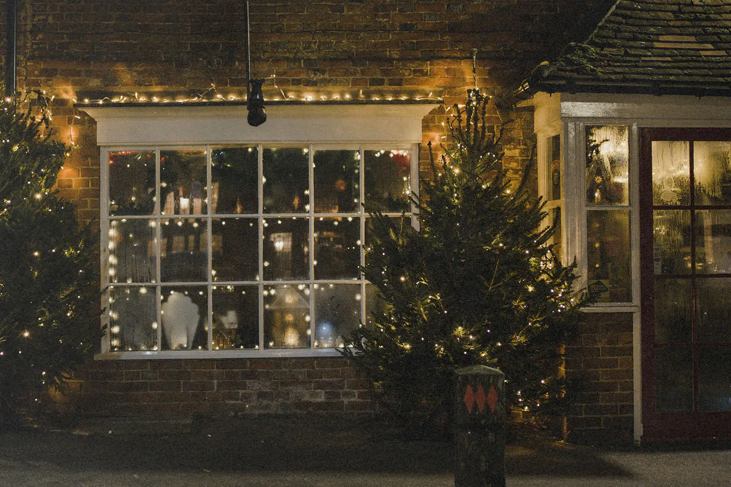 Tree and window with hanging Christmas lights