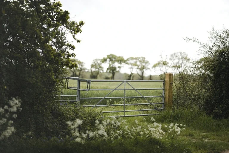 The Gateway to Success