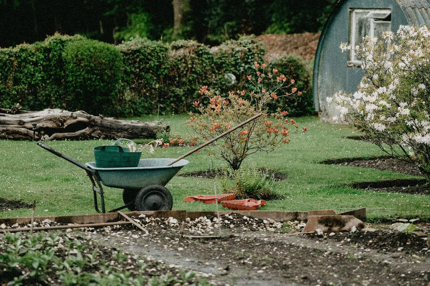 Garden with wheelbarrow