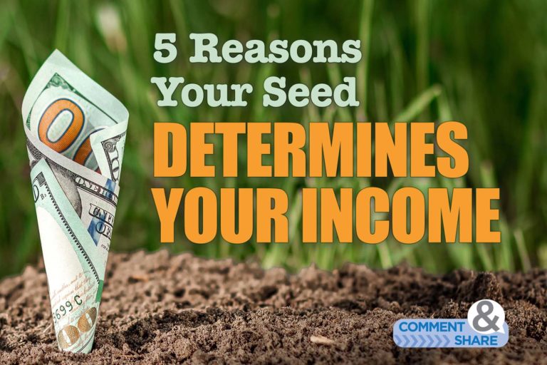 5 Reasons Why Your Seed Determines Your Income