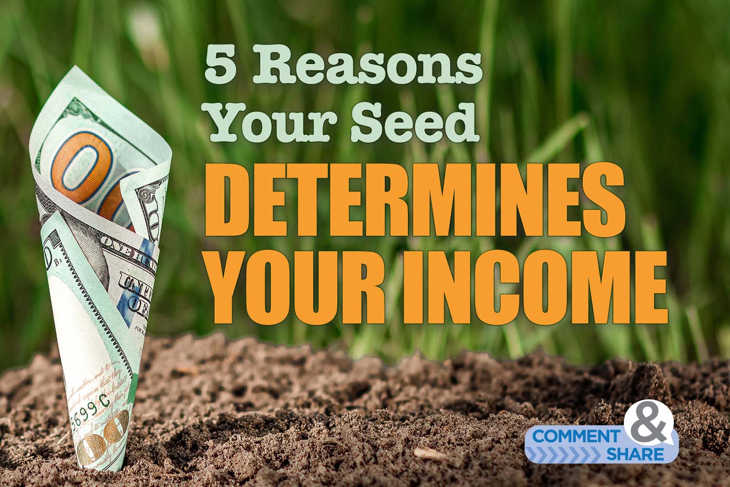 5 Reasons Your Seed Determines Your Income