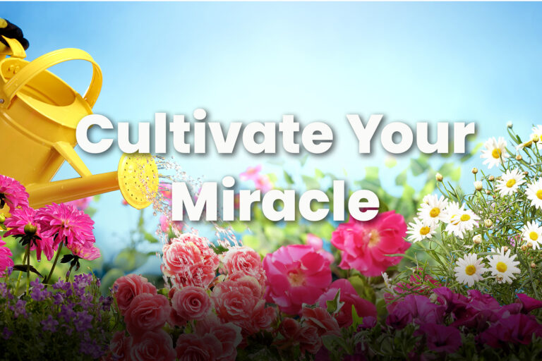 Cultivate Your Miracle