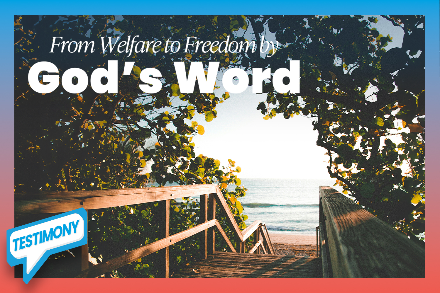 A wooden boardwalk surrounded by lush greenery leads to a peaceful beach with gentle waves and a clear blue sky
