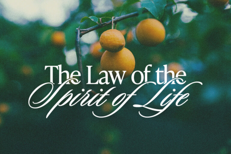 I Will Not Fear: The Law of the Spirit of Life