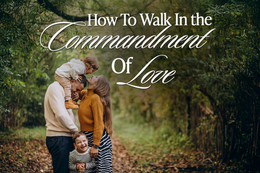 A family of four in a forest enjoying time together and highlighting the commandment of love in their relationship