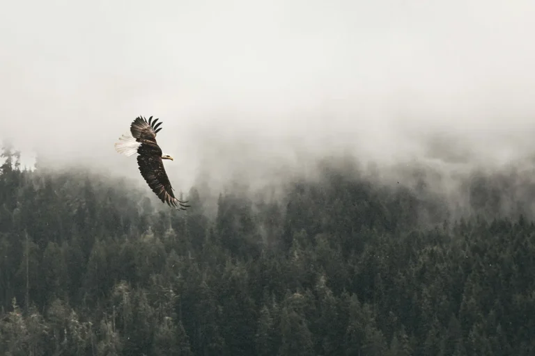 10 Scriptures to Stand Strong Against Worry