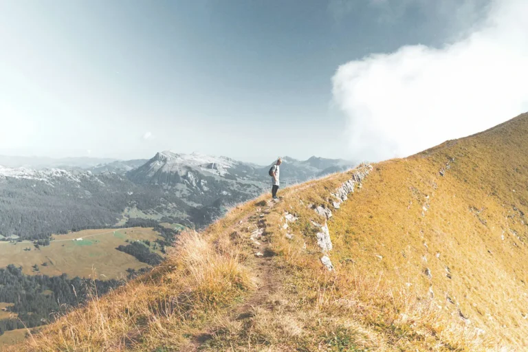 How to Make All Your Dreams Come True