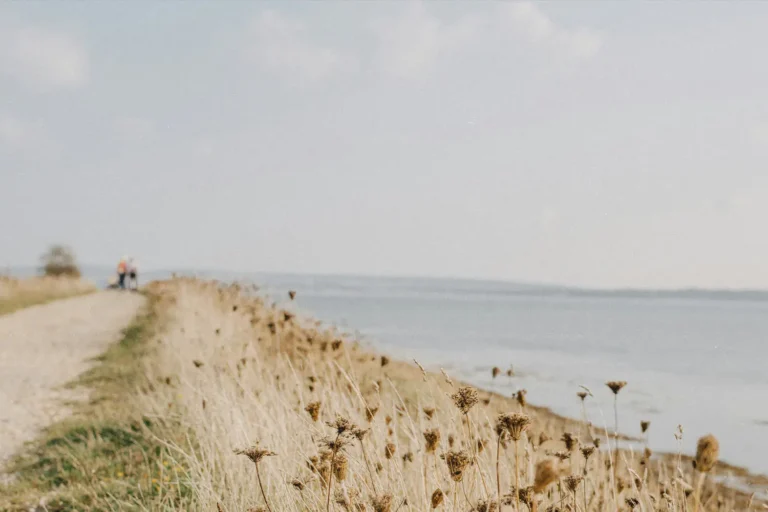 How to Live a New Life in Christ