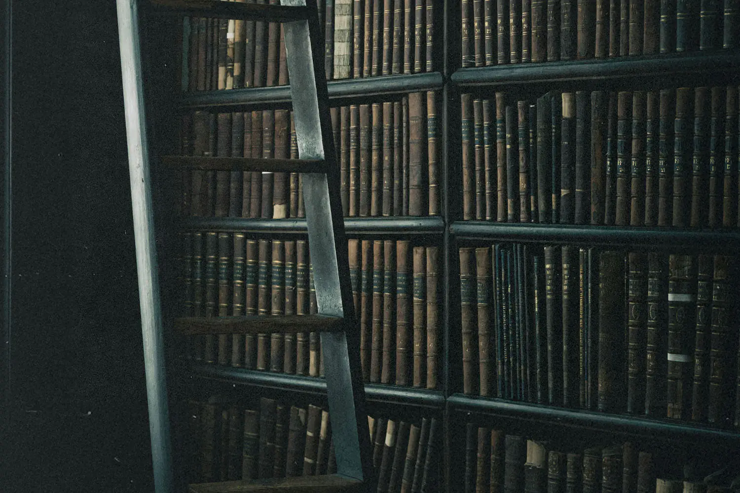 Library full of old books and a ladder