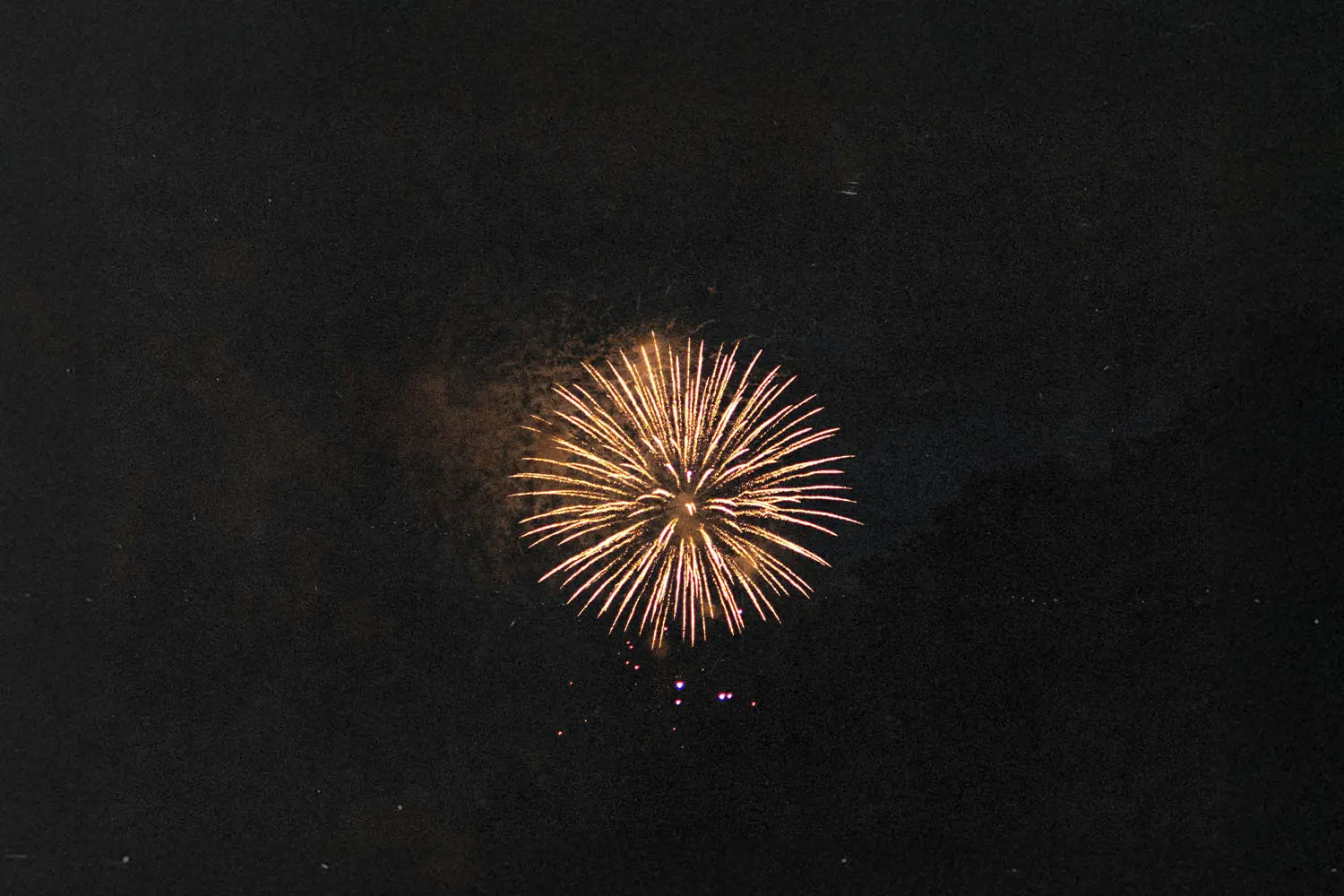 firework on dark sky