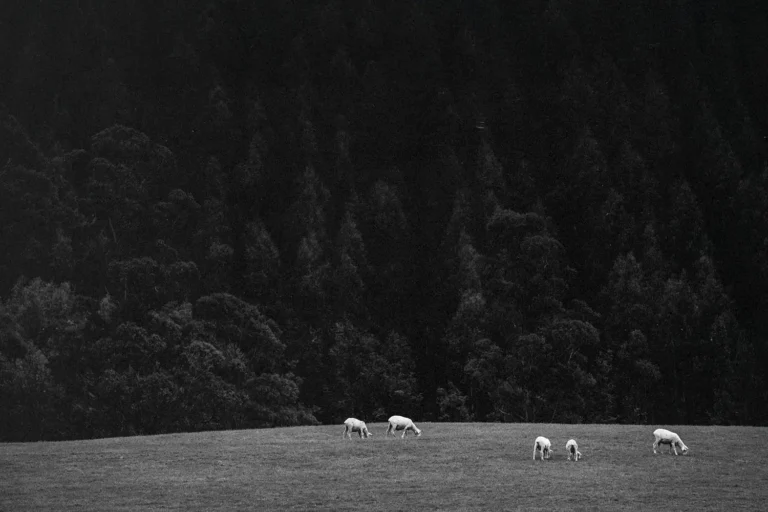 24 Ways to Stay in the Will of God