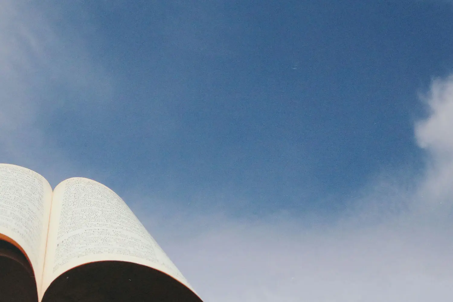 bible raised up to the sky