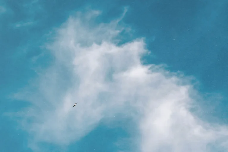 You Are Meant to Be Debt Free: 5 Ways to Get There Fast