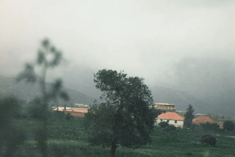 Everything You Need to Know to Possess Your Promised Land in 2020