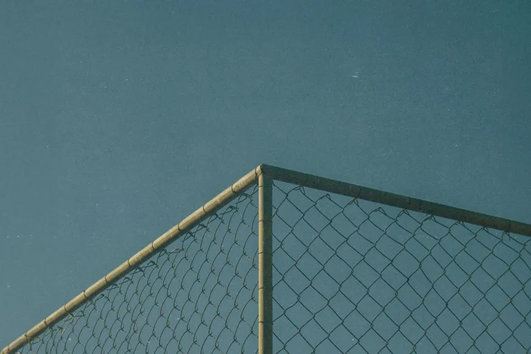 How to Fortify Your Borders During a Crisis