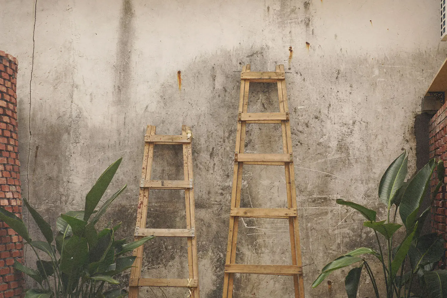 2 wooden ladders