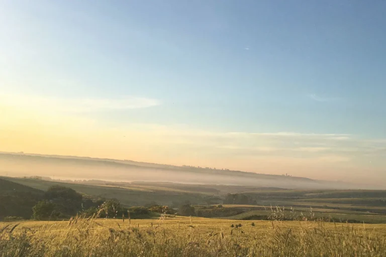 Word of the Week: BVOV Broadcast June 27-July 1