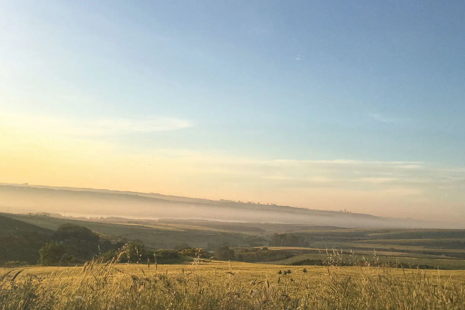 Open grass field and clear blue skies