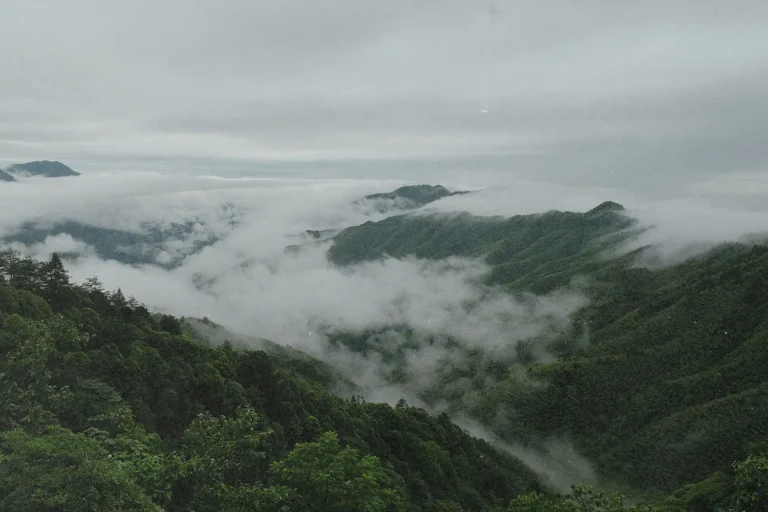 Word of the Week: BVOV Broadcast July 4-8, 2022￼