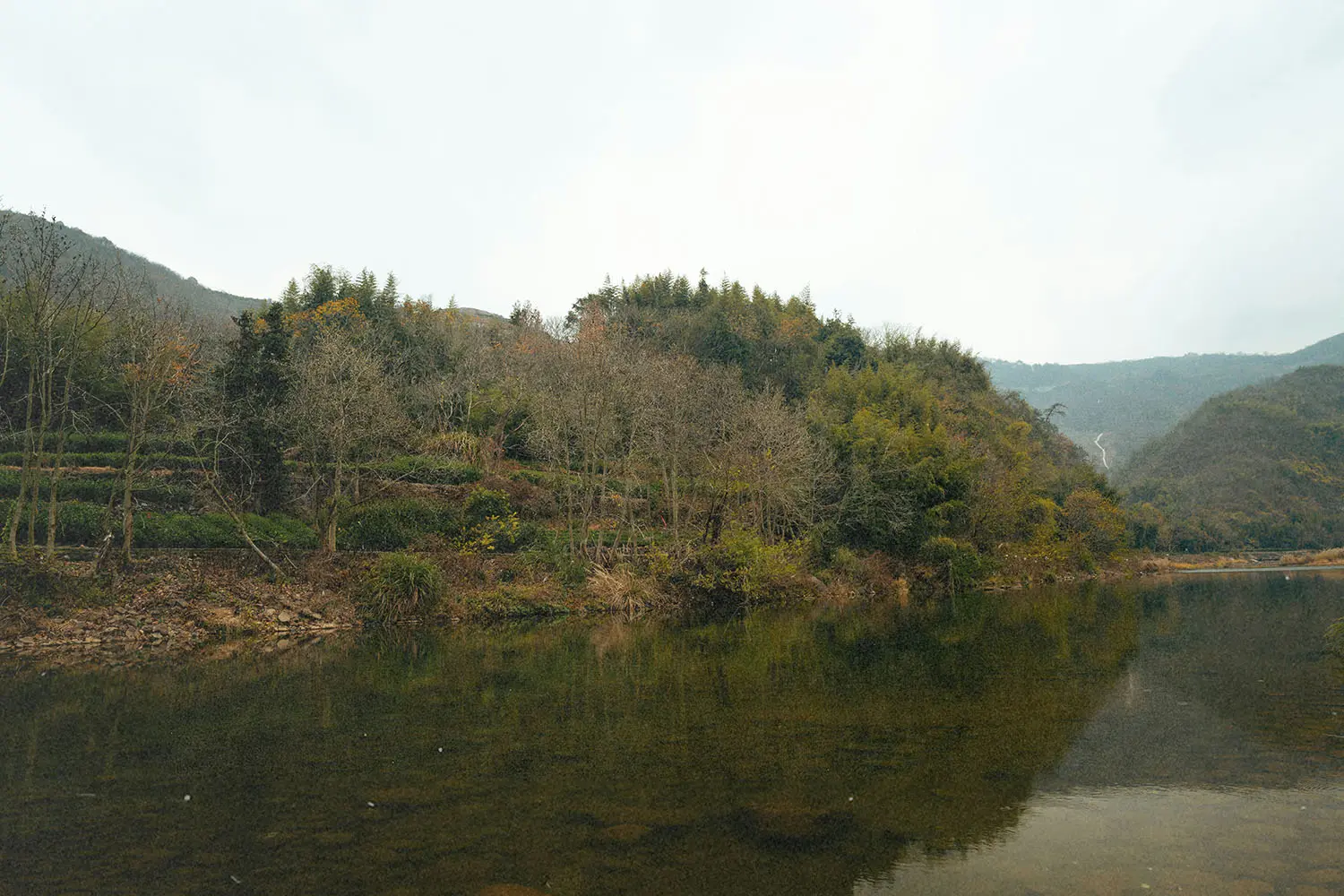 Still water reflecting a hillside covered in trees and greenery on an overcast day